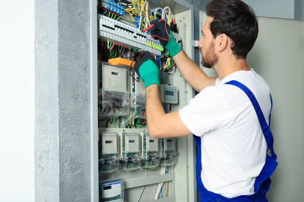 Best Ceiling Fan Installation Electrician  in Lake Mills, WI